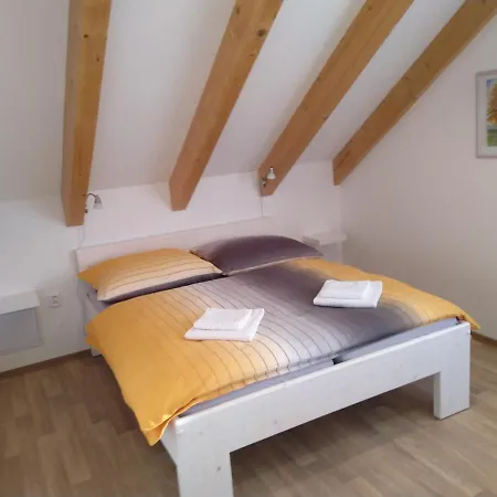 Apartment Na Vysluni Horni Maxov